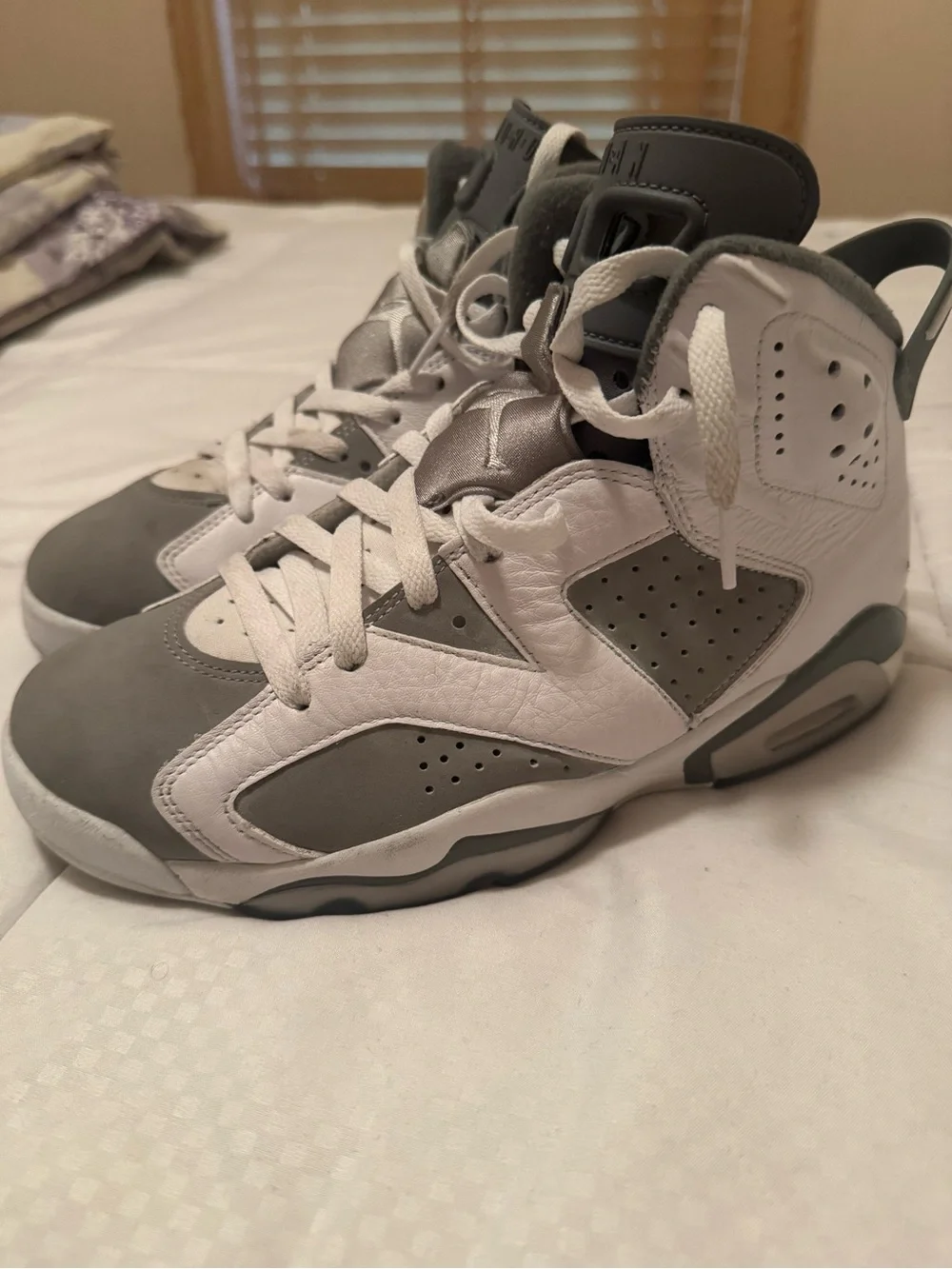 Jordan 6 Sneakers